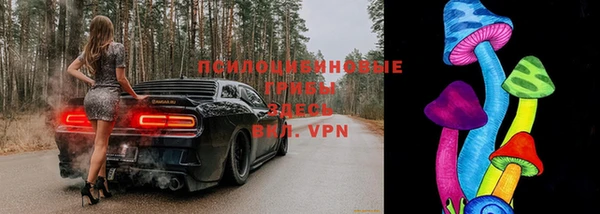 мескалин Козловка