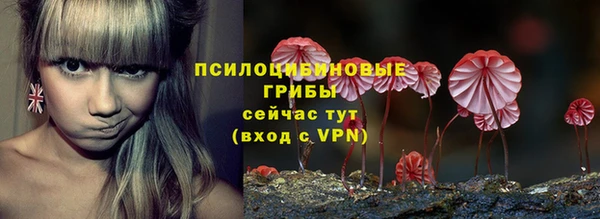 мескалин Козловка